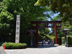 しばらく歩いて、根津神社。