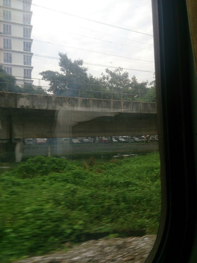 クアラルンプールからシンガポールの移動は飛行機、バスもありましたが何となく電車を選びました。バスでマラッカ観光経由して行くことも考えたのですが、「マレー鉄道乗った」という響きか良かったのでそうしました。ちなみに車窓の風景はひたすら針葉樹です。