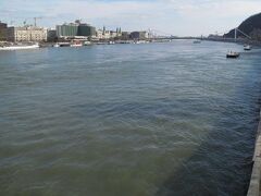 ドナウ川。
青く美しくは…ない？