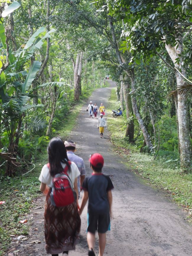 少しすると山道に出て、ひたすら登ります。<br />結構、急な坂道です。
