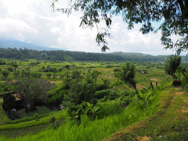 ティルタ・ガンガの近くでメジャーではありませんが、観光客も歩けるように地元農家の方の了解を取ってある場所だそうです。