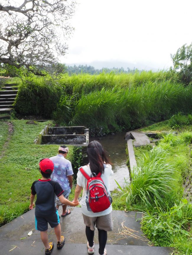 この辺りの水はティルタ・ガンガからの水が使われています。