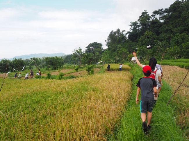 さらに進みます。<br /><br />次は脱穀の現場です。