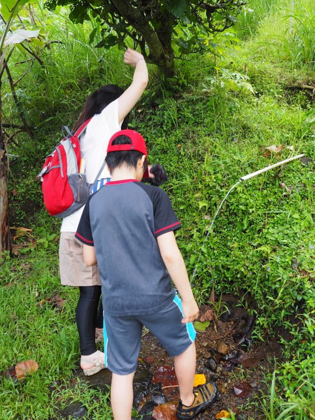 雨が小降りなうちに車に戻り、ライステラストレッキングは無事、終了。<br /><br />昼食をとりにBALI ASLIへ向かいます。