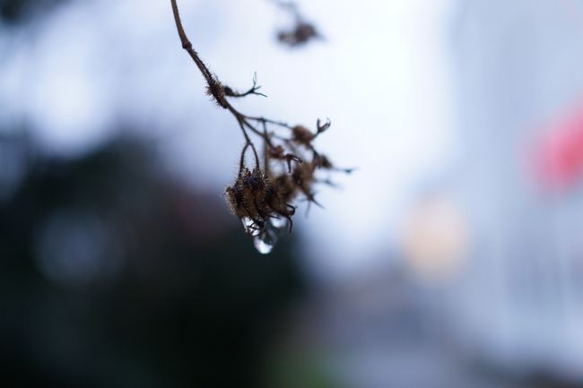 これからベルリンに向かいます。