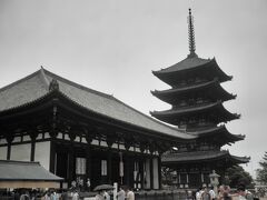 最後の訪問地　興福寺

前回はわざわざ来たのに　太宰府（福岡）に貸し出されていて見ることが出来なかった　阿修羅像　もじっくり見ることが出来ました。