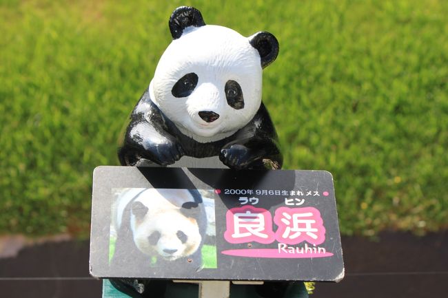 ★超レア 限定☆ 南紀 白浜 アドベンチャーワールド パンダ全6種＋ピンナップ 2025年最新】南紀白浜アドベンチャーワールドの人気アイテム
