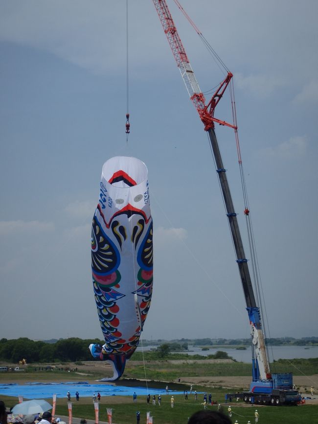 ちゃんとあげるか心配でしたが、風があったので空気をはらんであがっていきます。