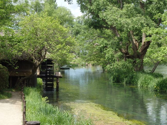 安曇野にあるわさび園にやってまいりました。<br />わさびソフト食べてみましたが、バニラが強く食べやすかったです。
