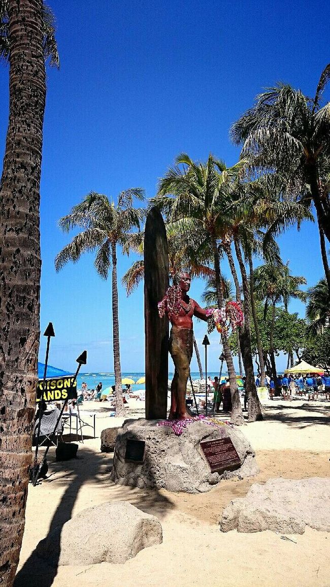 さてファーマーズ・マーケットに行く日だったのですが、私たちが朝もたもたしたのと、あとお掃除が入ってしまい（何故かこの日だけめちゃくちゃ早かった）トイレに行けず、慌てて出発したものの今度はThe Busが全然来ず・・・さすがThe Bus。<br /><br />諦めてワイキキビーチで泳ぐことにしました。<br />後でホテルにお住まいのマダムに聞いたら、30分歩けば着くわよ、歩かなきゃといわれて歩くべきだったと後悔＞＜<br />普段30分歩かないけどこの旅行中は平気で歩いてたもんなあ。<br /><br />ファーマーズは次回リベンジです！