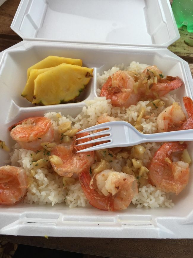 てるみくらぶで申し込みをしていたノースショアへ出発です。<br />今回はてるみくらぶではなく、委託された？808transのロバートさん（たぶん←おい）が案内してくれました。<br />友人とあと男性2人の4人。<br /><br />日系三世の方で、日本語勉強中だーと言ってましたがむちゃくちゃお上手でした。後でアラモアナまで連れて行ってくれたし。元奥さんがめさくさ美人で息子さんもイケメンでした。<br /><br />「ハワイではRainbow Drive-inが一番だよ！」とおススメしてくれたので、後日たずねることになりました本当においしかった！！<br /><br />シュリンプはBIG WAVE SHRIMPさんへ連れて行ってもらいました。<br />実は私、えびが大の苦手。だけどこれだけは食べないと後悔すると言われて頑張りましたがおいしかった！と言うかガーリックすごい（笑<br /><br />BIG WAVE SHRIMPさんはLenard&#39;sのマラサダがあるって聞いていたのですが、この日は見当たりませんでした。やめちゃったのかなあ。<br /><br />この後ソープファクトリーへ移動します。もやさまだらけだったｗ<br />奥さん気さくでかわいかったです。ブラウス購入（何故）。<br /><br />808TRANSLLS:http://808trans.net/