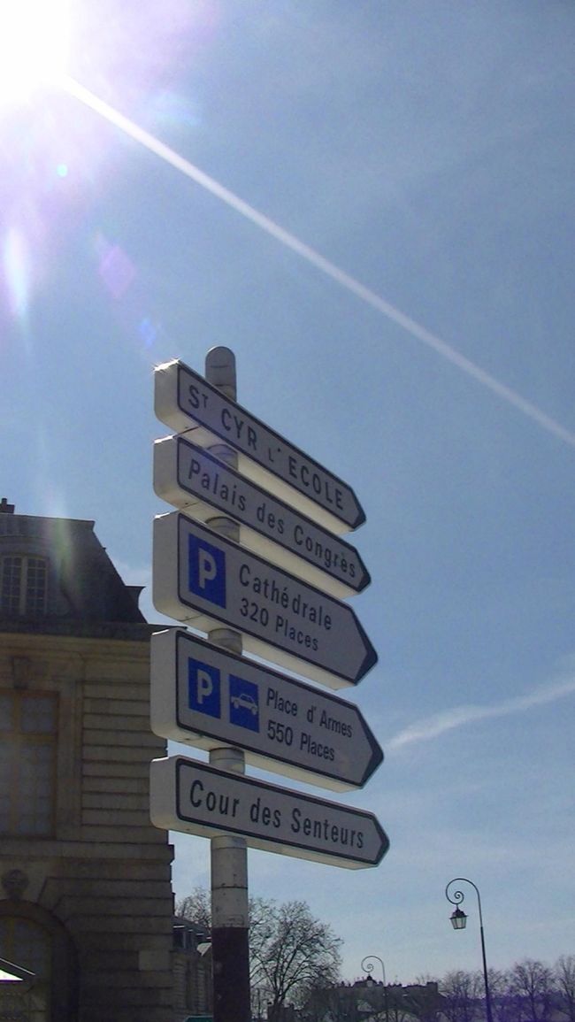 ものすごい日差しです・・