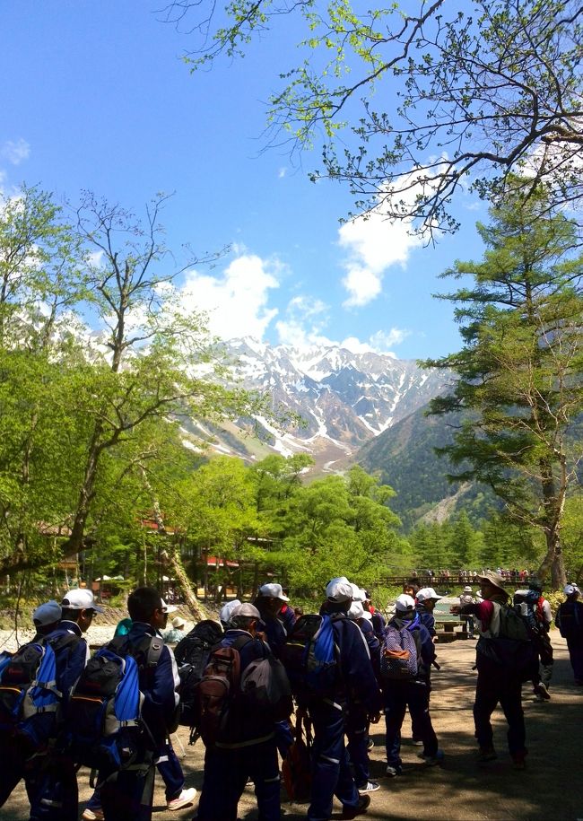 5月26日<br /><br />再び上高地へ！<br /><br />今日は二輪草が目的です<br /><br />(´∀｀)