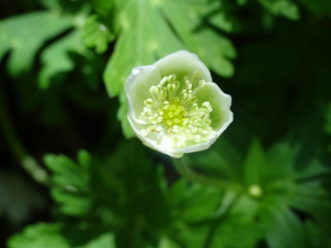 こちらも<br /><br />同じく･･･