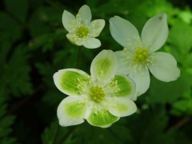 またまた発見〜！！<br /><br />(*´▽｀*)