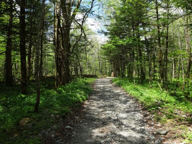 徳澤まで<br /><br />あと少し･･･