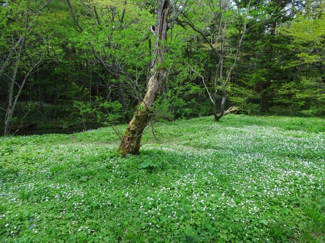 徳澤でちょっと休憩し<br /><br />また帰りますか〜