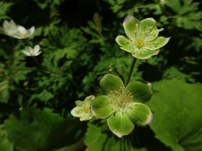 お父さん、お母さん<br /><br />子供