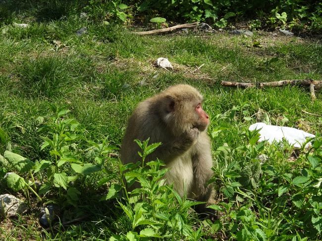 周りを気にすることなく<br /><br />食事中(≧∇≦)