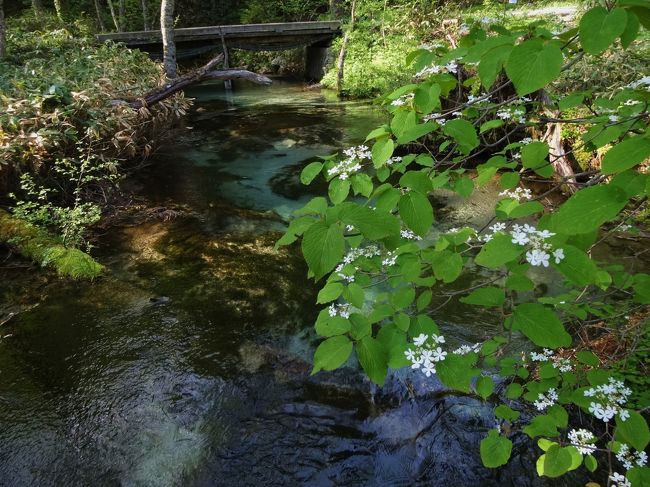 岳沢へ行く分岐点まで<br /><br />やっと来たわ<br /><br />ε=(･д･｀*)ﾊｧ…