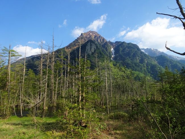 ここの道は<br /><br />本当久々に歩きました。