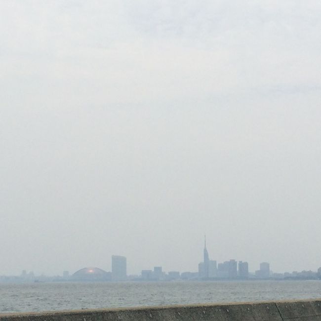 福岡タワーやドームが対岸に見えます。