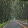 絶景を求めて春の九州ドライブ旅行　（３）呼子・加部島・浜野浦の棚田