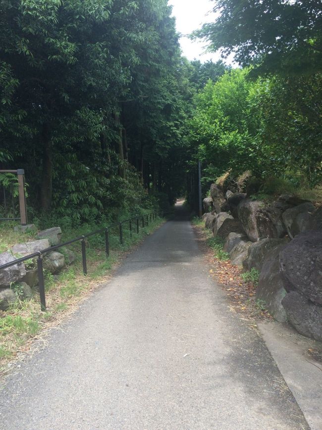 休憩してから島の北を目指します。ここからは下るだけ?