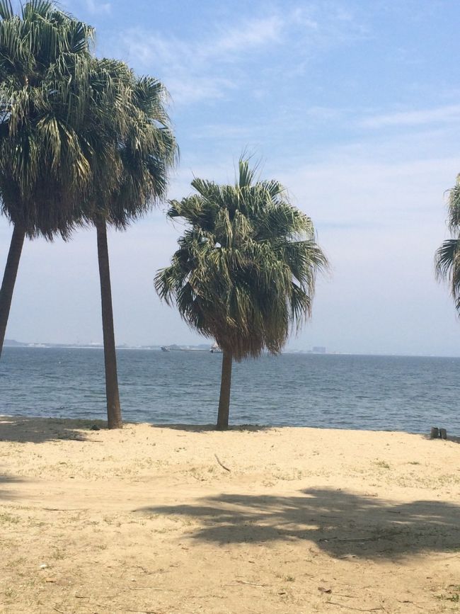 バーベキューの設備やバンガローがありなかなか本格的なキャンプ場です。海も白い砂浜で雰囲気があります。