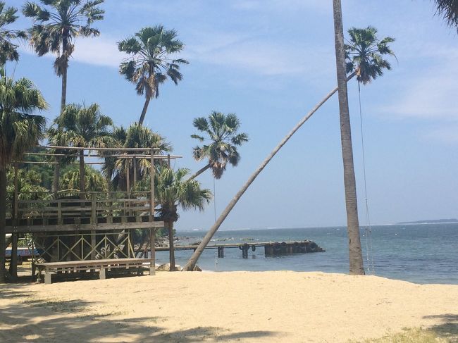 景色はまるで南国！！<br />しなってる木にはブランコがかけられてました。