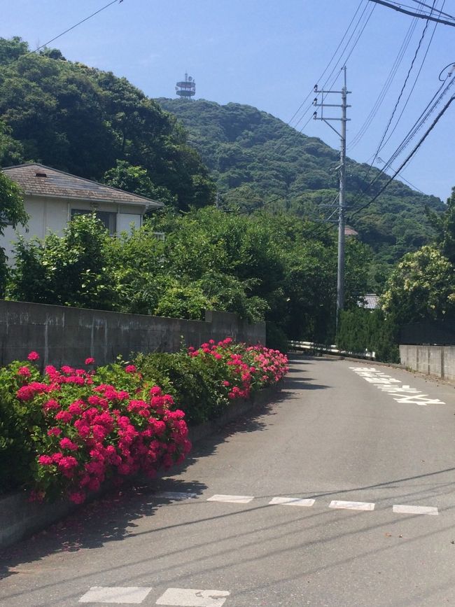 青い空と白い壁の家と赤い花。とてもきれい。
