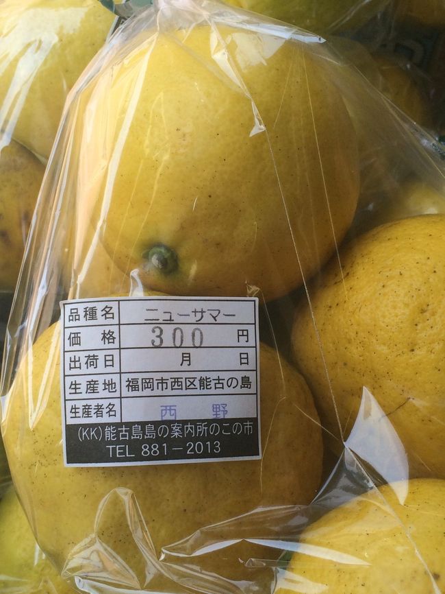 島の特産品、ニューサマーオレンジ。