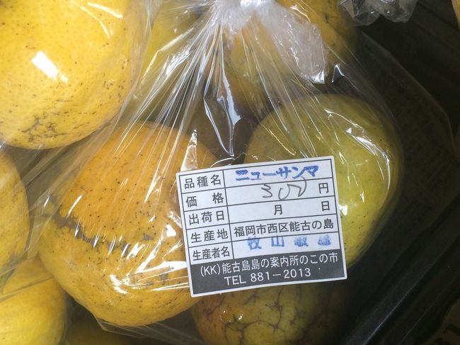 こっちはニューサンマ。<br />どっちが本当？？