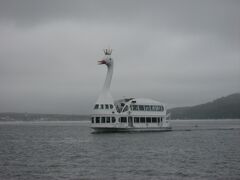 山中湖の遊覧船といえば、この白鳥
優雅に湖面を進んでいました