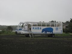 湖畔でなにやら不細工な乗り物に遭遇しました。

「ＹＡＭＡＮＡＫＡＫＯ　ＮＯ　ＫＡＢＡ」という
水陸両用バスが陸から水へ突入するところでした。
