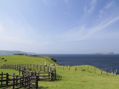 待っていたのはこの絶景！