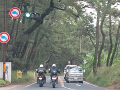 唐津城とセットで行きたい場所が虹ノ松原。唐津藩藩主、寺沢広高によって整備された唐津湾に広がる松原です。
ここも時間の都合上、車から眺めるだけですが、長さ５ｋｍにもわたって広がる松原の景色は雄大です。鏡山に登って眺める虹ノ松原がお勧めかな。