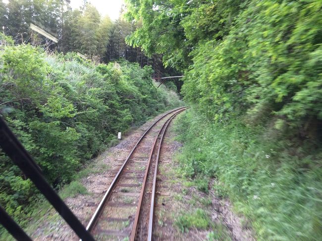 森の中をひた走る