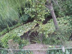 2日目
地中美術館へGO！

帰りにお庭の自然を楽しむ！