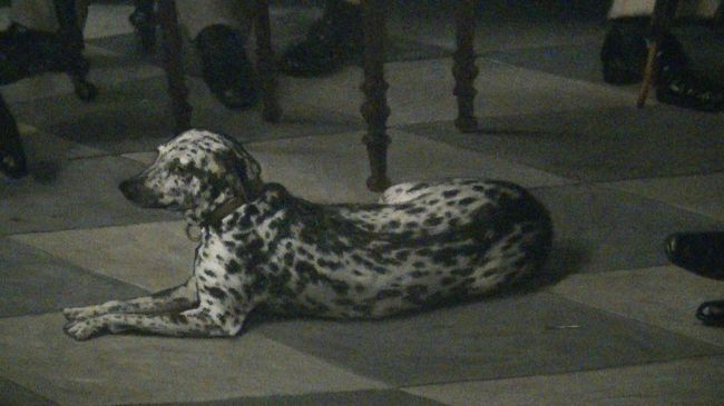 James Tissot <br /><br />Le cercle de la rue royale<br /><br />の絵画の片隅にいる犬＾＾<br /><br />絵画自体は地味です。。<br /><br />