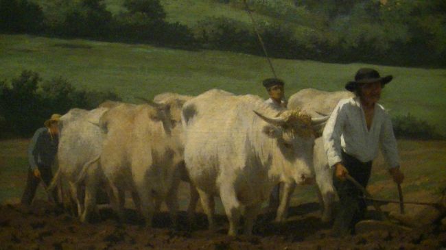 同上・<br /><br />凄い迫力ですよね