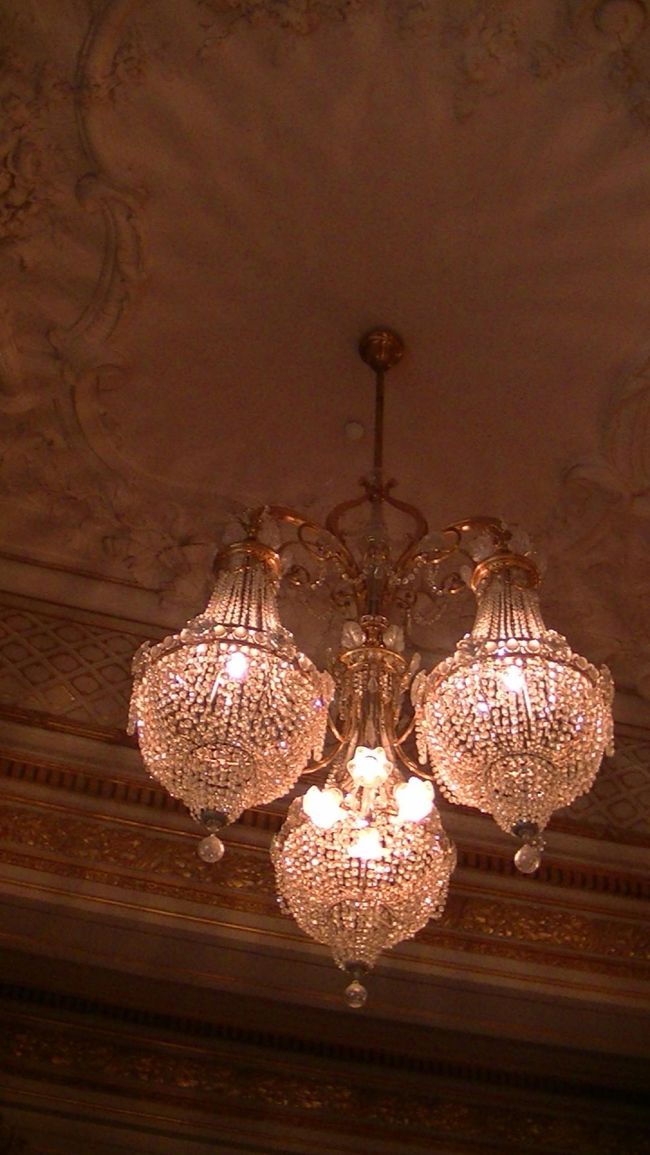 夕暮れになってくると浮かびあがります