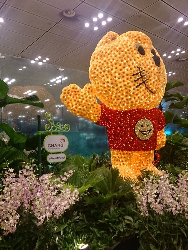 20時頃チャンギ空港に到着。ＷＩＦＩも復活。やはり空港は落ち着きます。<br />21時時頃のＪＡＬ便があったのでＪＡＬのカウンターが開いてました。自分は25時の便でしたが問題なくチェックインできました。