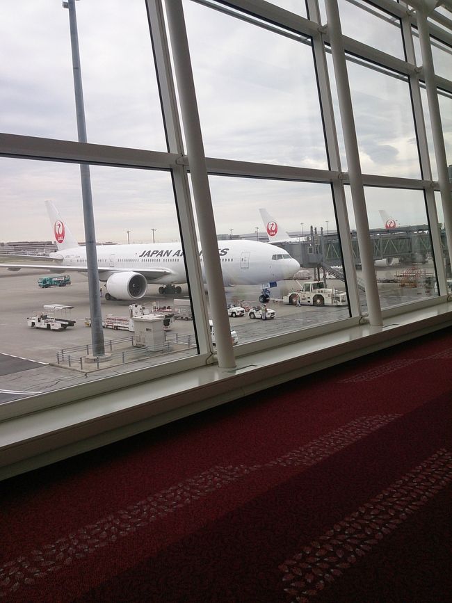 チャンギ空港を25時過ぎに出発し9時頃羽田空港に到着。今回のフライトでＦＯＰが51,398となりＪＧＣサファイア修行もこれで無事終了しました。<br />今思えば、国際線の国内乗り継ぎが3月末で終了することになってしまったため、早い段階で修行を開始できたことが結果的に良かったです。溜まったマイルを使わなかったとしても運賃だけで約30万円でした。<br />普段飛行機に全く乗らない自分がＪＧＣに入会して果たして意味があるのかという疑問もありますが、これからはひたすら自己満足に浸っていようと思います。<br />そして２０１６年はこれに懲りずＳＦＣ獲得にむけて修行したいと考えてます。