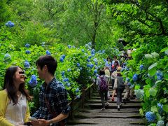 この日はお昼に北鎌倉駅に到着！

昨日は雨だったので、雨上がりの紫陽花にちょっと期待して、劇混みの明月院へ
明月院の入り口近くには仲の良いカップルの姿も

【明月院】
拝観時間：9：00〜17：00(6月は8:30〜17:00)
拝観料：500円