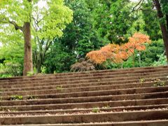 それでは、宇賀福神社に向かって歩きます

葛原岡神社から宇賀福神社へは下り坂だけです
宇賀神社へのアクセスは北鎌倉からが楽なんですかね
