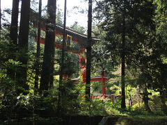 立派な鳥居が見えてきました。富士山を祀っている神社としては富士宮にある富士山本宮浅間大社に行ったことがありますが、そちらと比べると木々の中にひっそりと佇んでいる雰囲気があります。