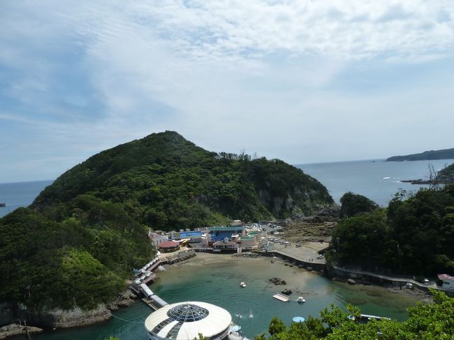 下田の水族館でイルカが指導を受けていた。
