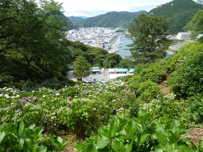 むこうが川です。