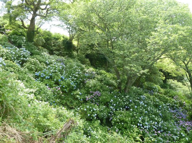 来週に期待したいところ。